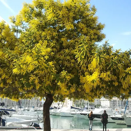 Golfs De Valescure Apartment Saint-Raphael (Var)